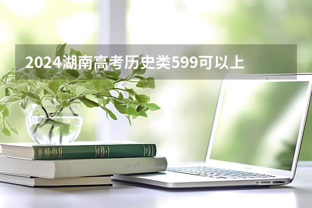 2024湖南高考历史类599可以上什么大学预测