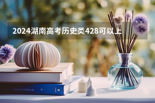 2024湖南高考历史类428可以上什么大学预测