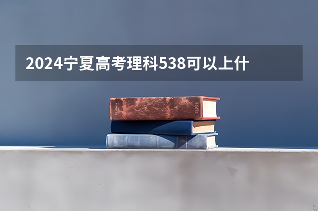 2024宁夏高考理科538可以上什么大学预测