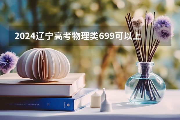 2024辽宁高考物理类699可以上什么大学预测