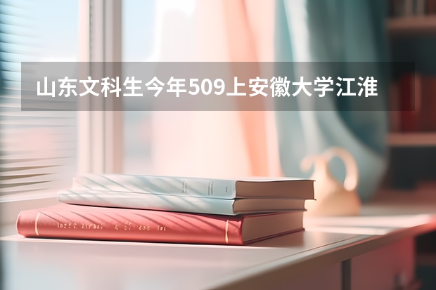 山东文科生今年509上安徽大学江淮学院可以吗？报了国际经济与贸易，金融学，新闻学，专业服从。