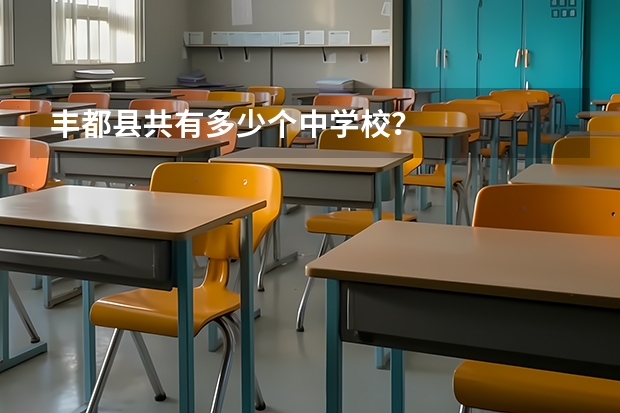 丰都县共有多少个中学校？