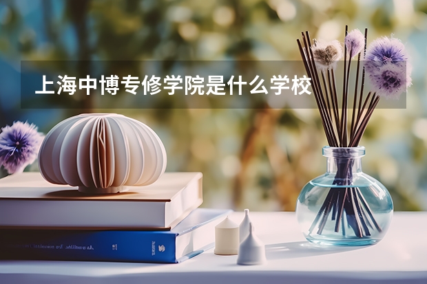 上海中博专修学院是什么学校