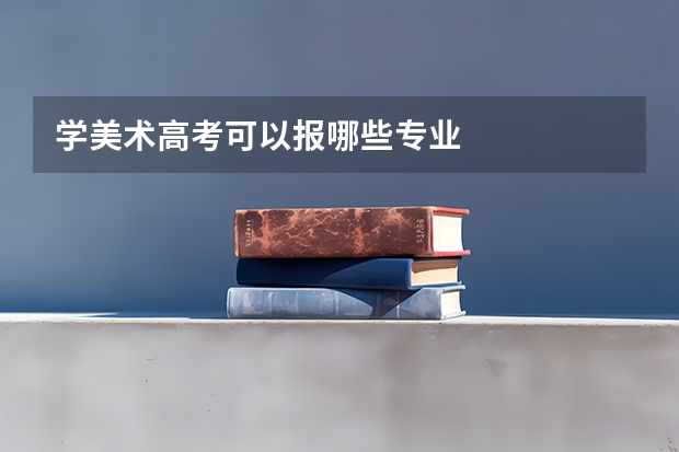 学美术高考可以报哪些专业