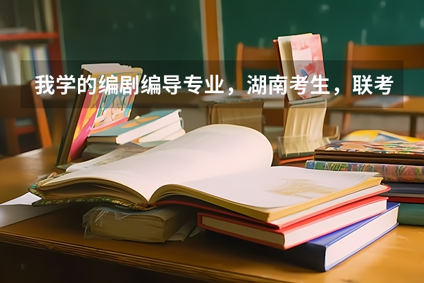 我学的编剧编导专业，湖南考生，联考没过，可能艺术校考也没学校过。文化四百多能考山西/上海什么学校？