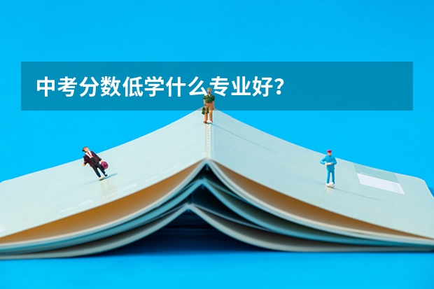 中考分数低学什么专业好？