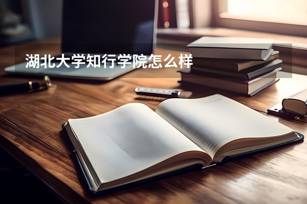 湖北大学知行学院怎么样