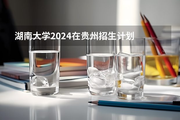 湖南大学2024在贵州招生计划