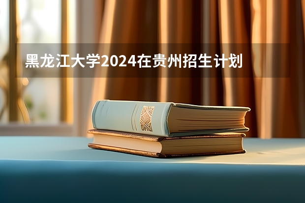 黑龙江大学2024在贵州招生计划