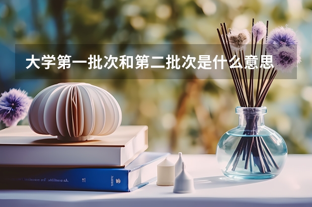 大学第一批次和第二批次是什么意思