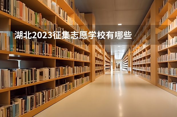 湖北2023征集志愿学校有哪些