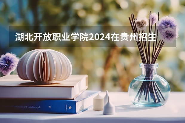 湖北开放职业学院2024在贵州招生计划