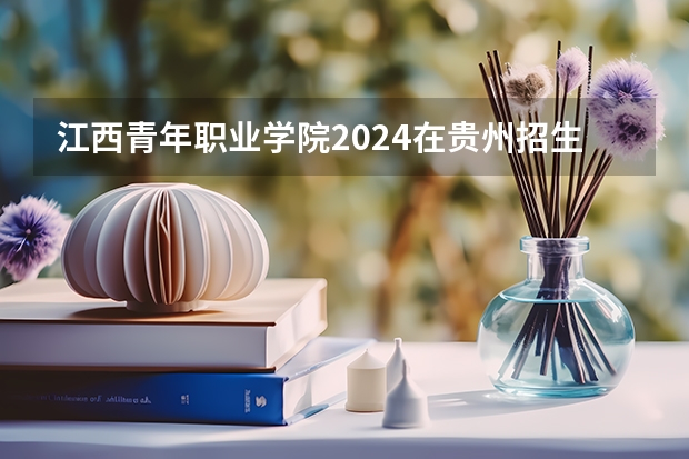 江西青年职业学院2024在贵州招生计划