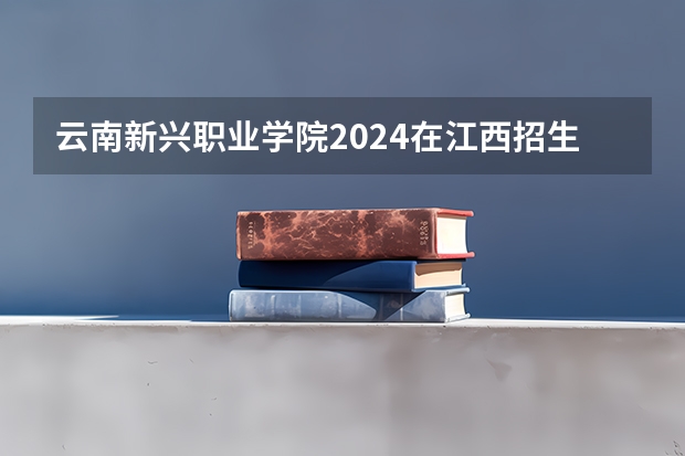 云南新兴职业学院2024在江西招生计划