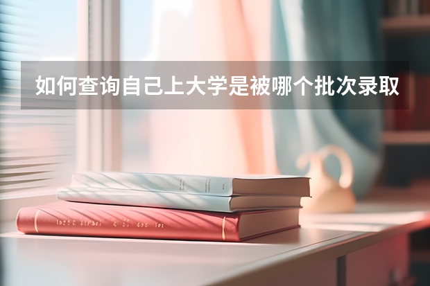 如何查询自己上大学是被哪个批次录取