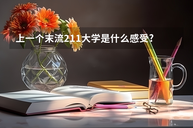 上一个末流211大学是什么感受?