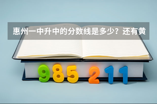 惠州一中升中的分数线是多少？还有黄冈、惠高的。