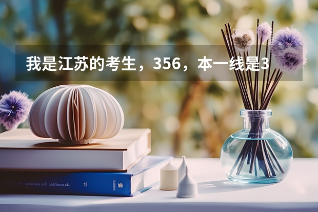 我是江苏的考生，356，本一线是344。江苏填平行志愿，C是保底只愿，可以填常州大学么？不可以的话（高考大学录取分数线排名？）