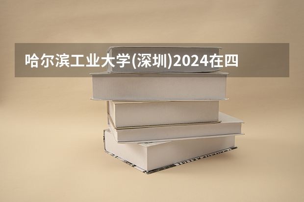 哈尔滨工业大学(深圳)2024在四川招生计划