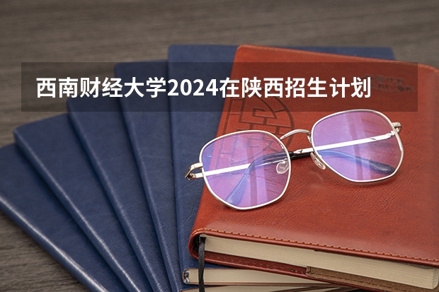 西南财经大学2024在陕西招生计划