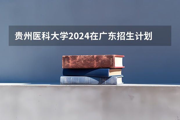 贵州医科大学2024在广东招生计划