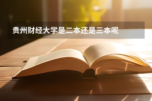 贵州财经大学是二本还是三本呢