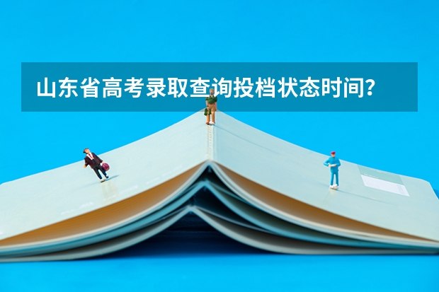 山东省高考录取查询投档状态时间？ 在山东省教育招生考试院网站那里可以查到录取情况