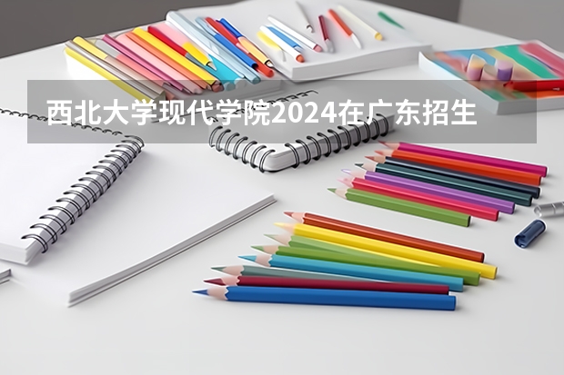 西北大学现代学院2024在广东招生计划