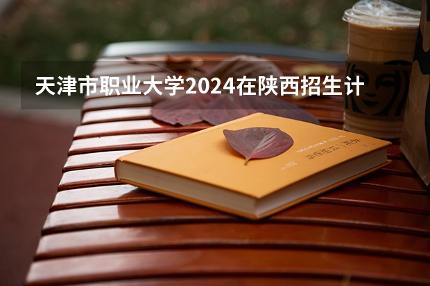 天津市职业大学2024在陕西招生计划