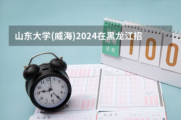 山东大学(威海)2024在黑龙江招生计划