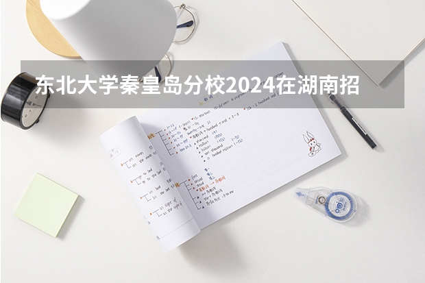 东北大学秦皇岛分校2024在湖南招生计划