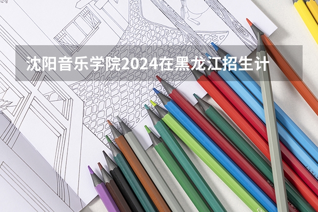 沈阳音乐学院2024在黑龙江招生计划