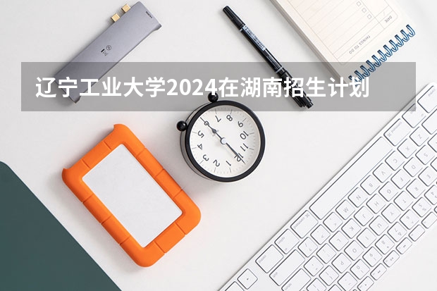 辽宁工业大学2024在湖南招生计划