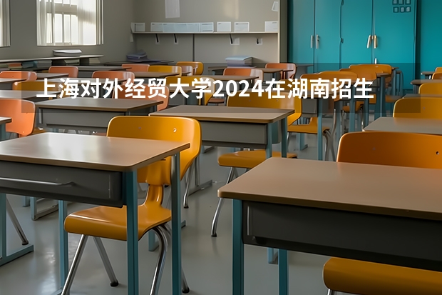 上海对外经贸大学2024在湖南招生计划