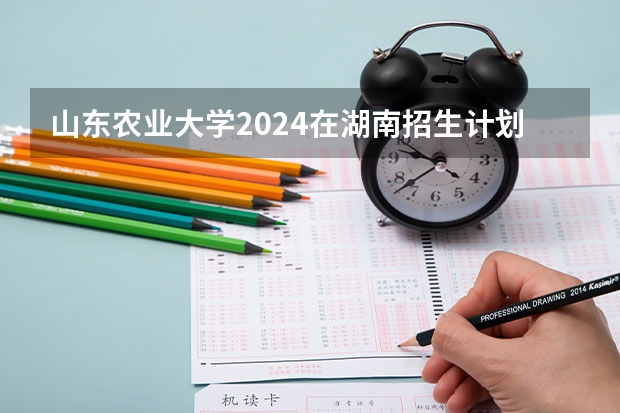 山东农业大学2024在湖南招生计划