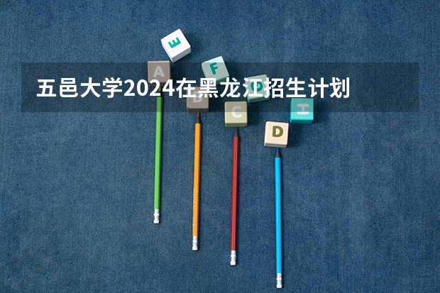 五邑大学2024在黑龙江招生计划