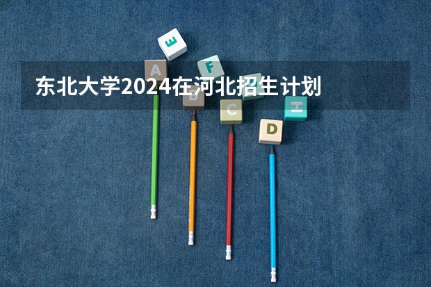 东北大学2024在河北招生计划