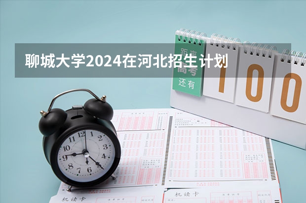 聊城大学2024在河北招生计划