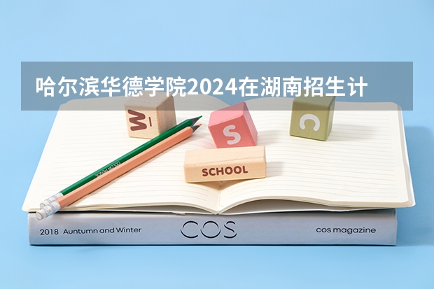 哈尔滨华德学院2024在湖南招生计划