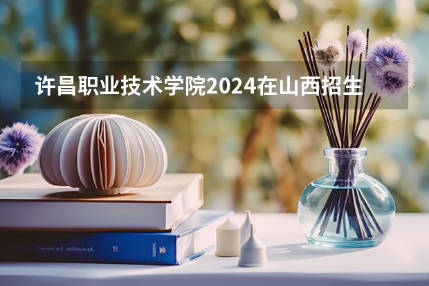 许昌职业技术学院2024在山西招生计划