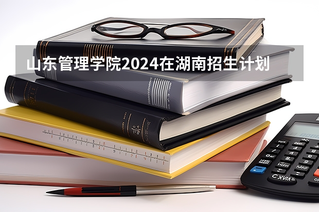 山东管理学院2024在湖南招生计划