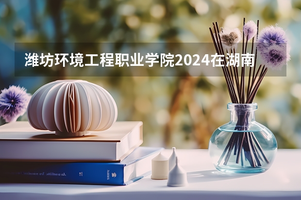 潍坊环境工程职业学院2024在湖南招生计划