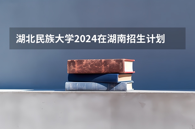 湖北民族大学2024在湖南招生计划