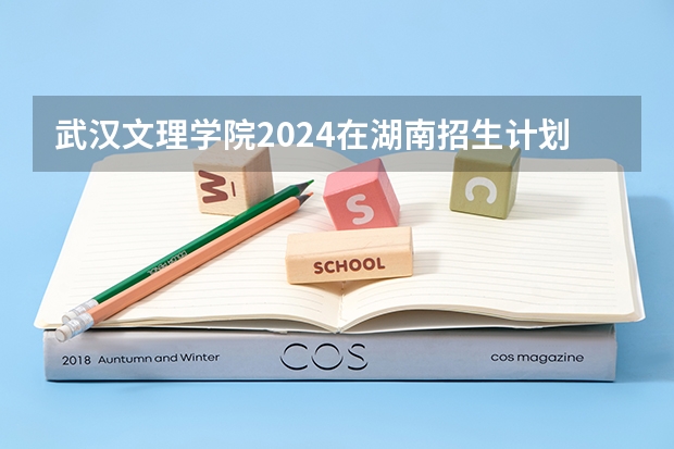 武汉文理学院2024在湖南招生计划