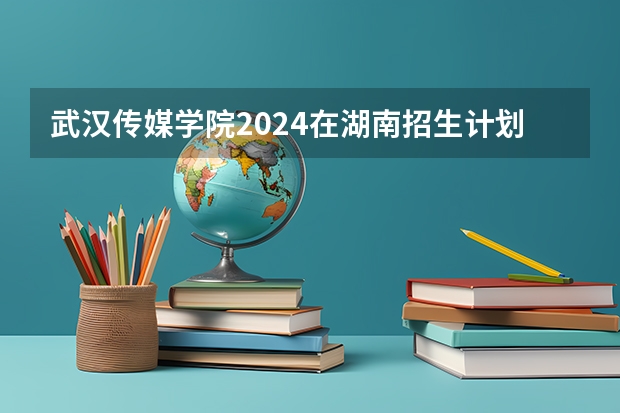 武汉传媒学院2024在湖南招生计划