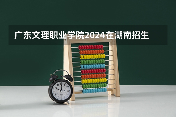 广东文理职业学院2024在湖南招生计划