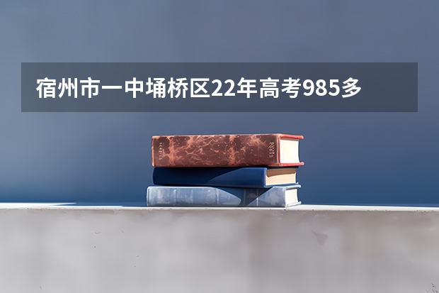 宿州市一中埇桥区22年高考985多少名