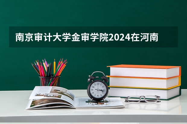 南京审计大学金审学院2024在河南招生计划