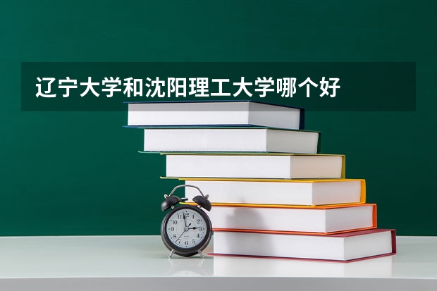 辽宁大学和沈阳理工大学哪个好