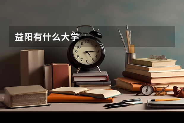 益阳有什么大学